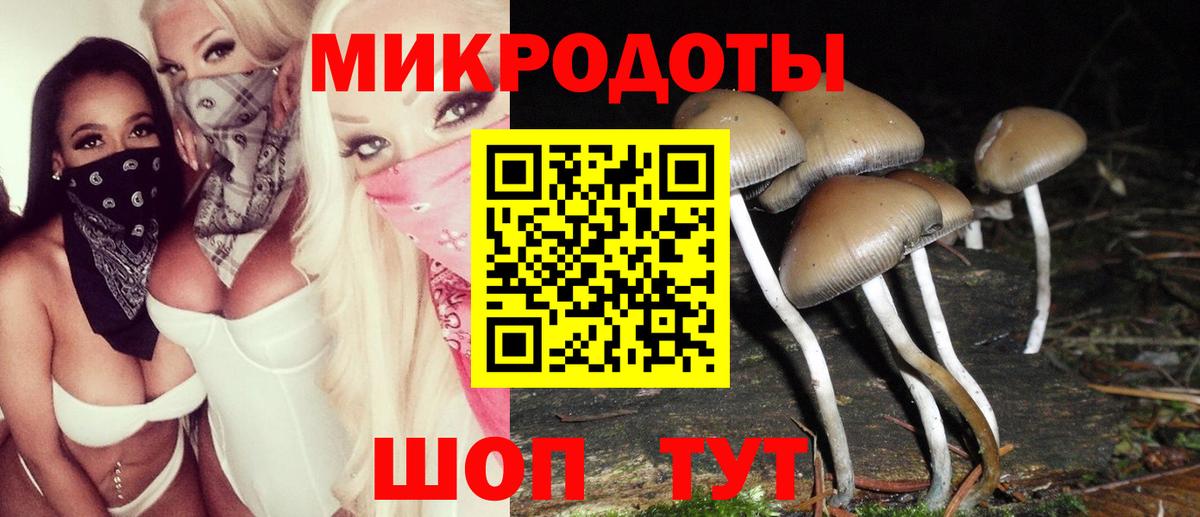 Псилоцибиновые грибы GOLDEN TEACHER Кубинка